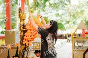 DOS00227_PAWOR