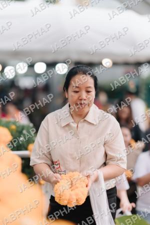 DSC00735