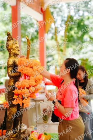 DOS00141_PAWOR